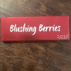 Blushing Berries Eyeshadow Palette